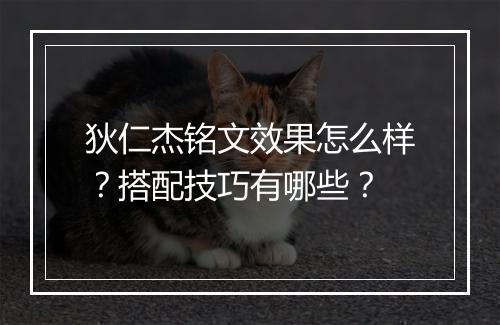 狄仁杰铭文效果怎么样？搭配技巧有哪些？
