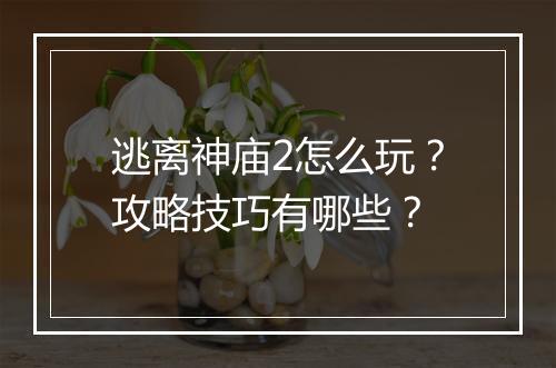 逃离神庙2怎么玩？攻略技巧有哪些？
