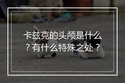 卡兹克的头颅是什么？有什么特殊之处？