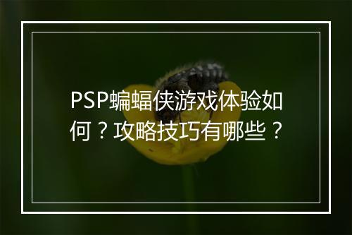 PSP蝙蝠侠游戏体验如何？攻略技巧有哪些？