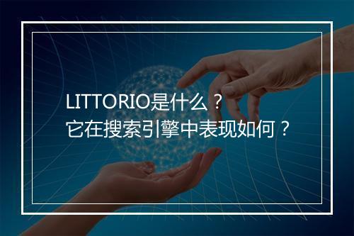 LITTORIO是什么？它在搜索引擎中表现如何？