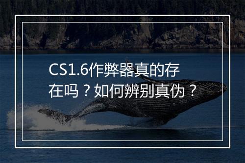 CS1.6作弊器真的存在吗？如何辨别真伪？