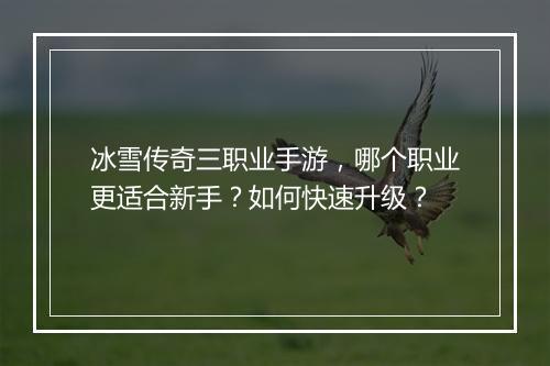 冰雪传奇三职业手游，哪个职业更适合新手？如何快速升级？