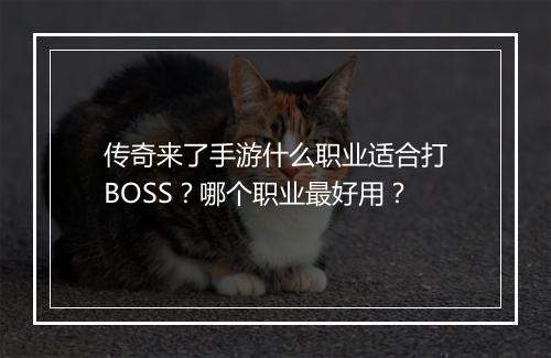 传奇来了手游什么职业适合打BOSS？哪个职业最好用？