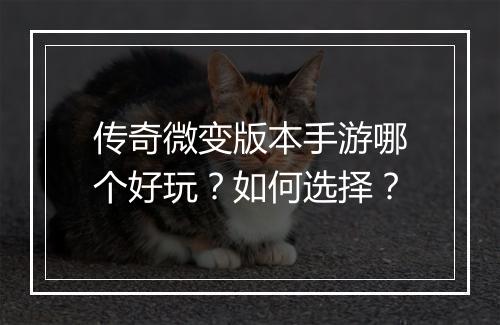 传奇微变版本手游哪个好玩？如何选择？