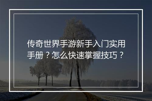 传奇世界手游新手入门实用手册？怎么快速掌握技巧？