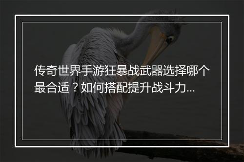 传奇世界手游狂暴战武器选择哪个最合适？如何搭配提升战斗力？