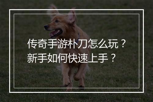 传奇手游朴刀怎么玩？新手如何快速上手？