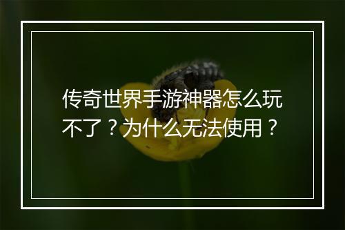 传奇世界手游神器怎么玩不了？为什么无法使用？