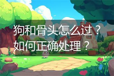 狗和骨头怎么过？如何正确处理？