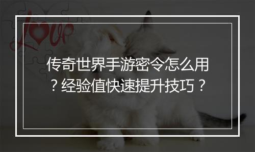 传奇世界手游密令怎么用？经验值快速提升技巧？