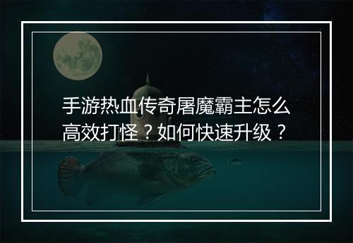 手游热血传奇屠魔霸主怎么高效打怪？如何快速升级？