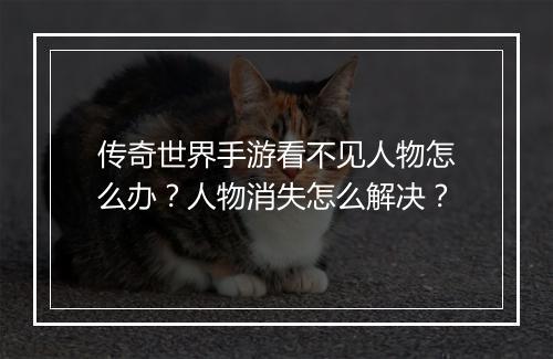 传奇世界手游看不见人物怎么办？人物消失怎么解决？