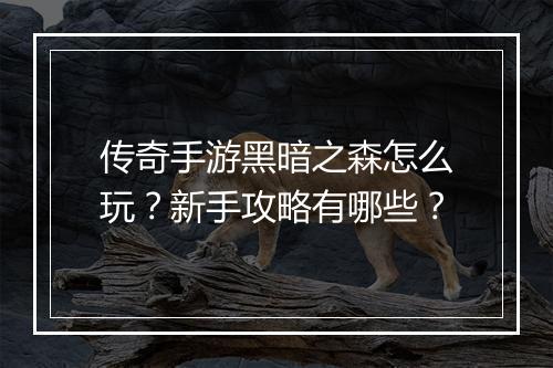 传奇手游黑暗之森怎么玩？新手攻略有哪些？