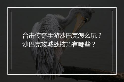 合击传奇手游沙巴克怎么玩？沙巴克攻城战技巧有哪些？