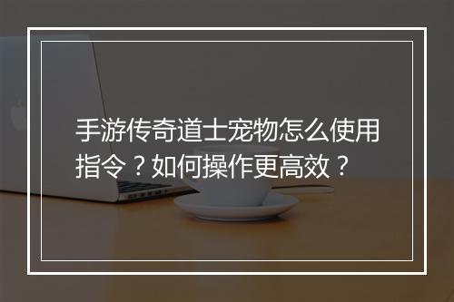 手游传奇道士宠物怎么使用指令？如何操作更高效？
