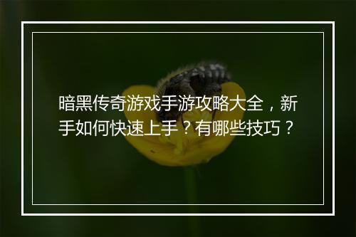 暗黑传奇游戏手游攻略大全，新手如何快速上手？有哪些技巧？