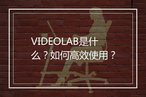 VIDEOLAB是什么？如何高效使用？