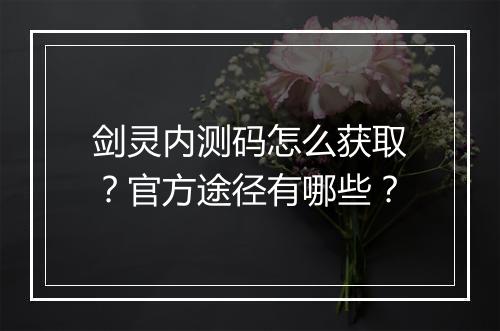 剑灵内测码怎么获取？官方途径有哪些？