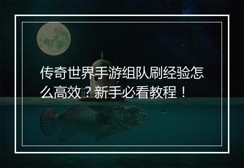 传奇世界手游组队刷经验怎么高效？新手必看教程！