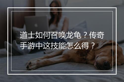 道士如何召唤龙龟？传奇手游中这技能怎么得？