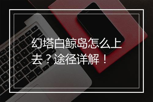 幻塔白鲸岛怎么上去？途径详解！