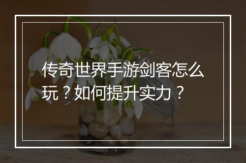 传奇世界手游剑客怎么玩？如何提升实力？