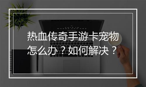 热血传奇手游卡宠物怎么办？如何解决？