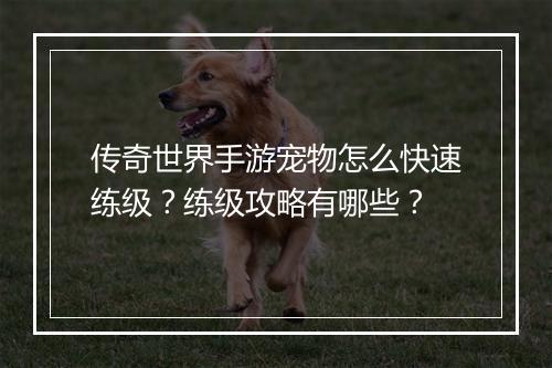 传奇世界手游宠物怎么快速练级？练级攻略有哪些？