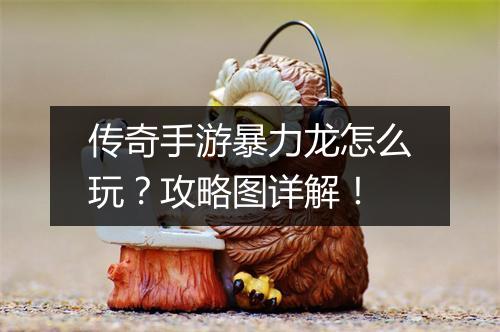 传奇手游暴力龙怎么玩？攻略图详解！