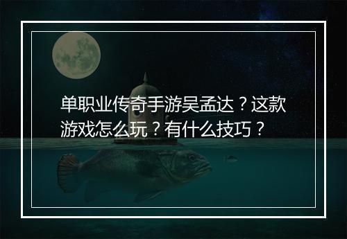 单职业传奇手游吴孟达？这款游戏怎么玩？有什么技巧？