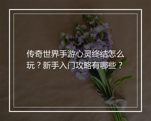 传奇世界手游心灵终结怎么玩？新手入门攻略有哪些？