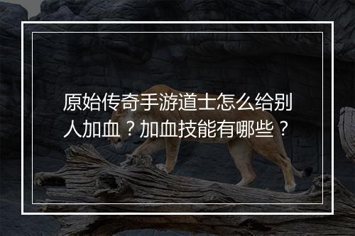 原始传奇手游道士怎么给别人加血？加血技能有哪些？