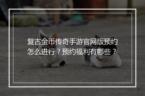 复古金币传奇手游官网版预约怎么进行？预约福利有哪些？