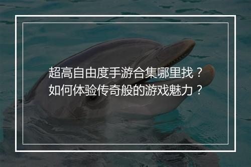 超高自由度手游合集哪里找？如何体验传奇般的游戏魅力？
