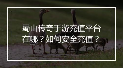 蜀山传奇手游充值平台在哪？如何安全充值？