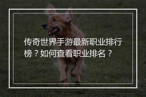 传奇世界手游最新职业排行榜？如何查看职业排名？