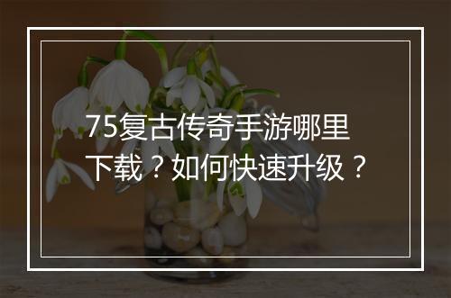 75复古传奇手游哪里下载?如何快速升级?