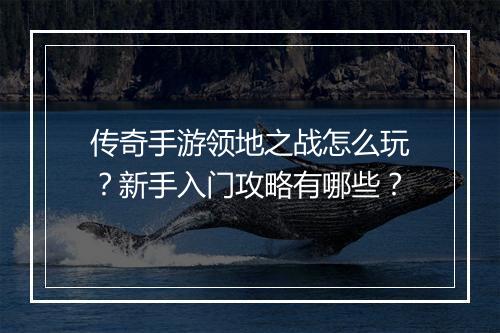 传奇手游领地之战怎么玩？新手入门攻略有哪些？
