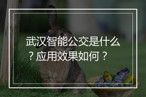武汉智能公交是什么？应用效果如何？