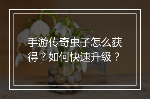 手游传奇虫子怎么获得？如何快速升级？