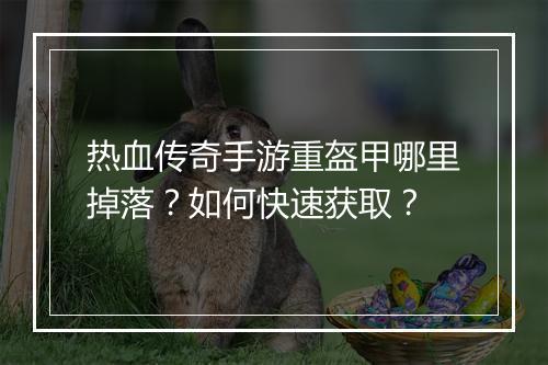 热血传奇手游重盔甲哪里掉落？如何快速获取？