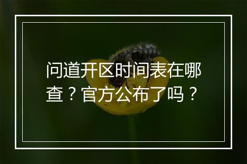 问道开区时间表在哪查？官方公布了吗？