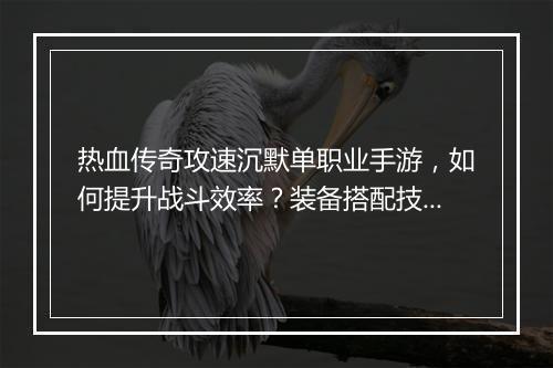 热血传奇攻速沉默单职业手游，如何提升战斗效率？装备搭配技巧揭秘？