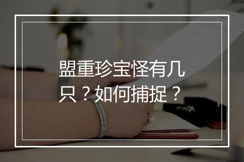 盟重珍宝怪有几只？如何捕捉？