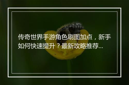 传奇世界手游角色刷图加点，新手如何快速提升？最新攻略推荐！