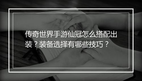传奇世界手游仙冠怎么搭配出装？装备选择有哪些技巧？