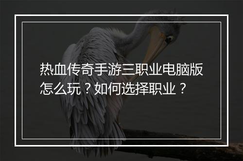 热血传奇手游三职业电脑版怎么玩？如何选择职业？