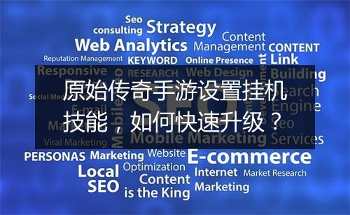 原始传奇手游设置挂机技能，如何快速升级？