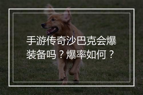 手游传奇沙巴克会爆装备吗？爆率如何？